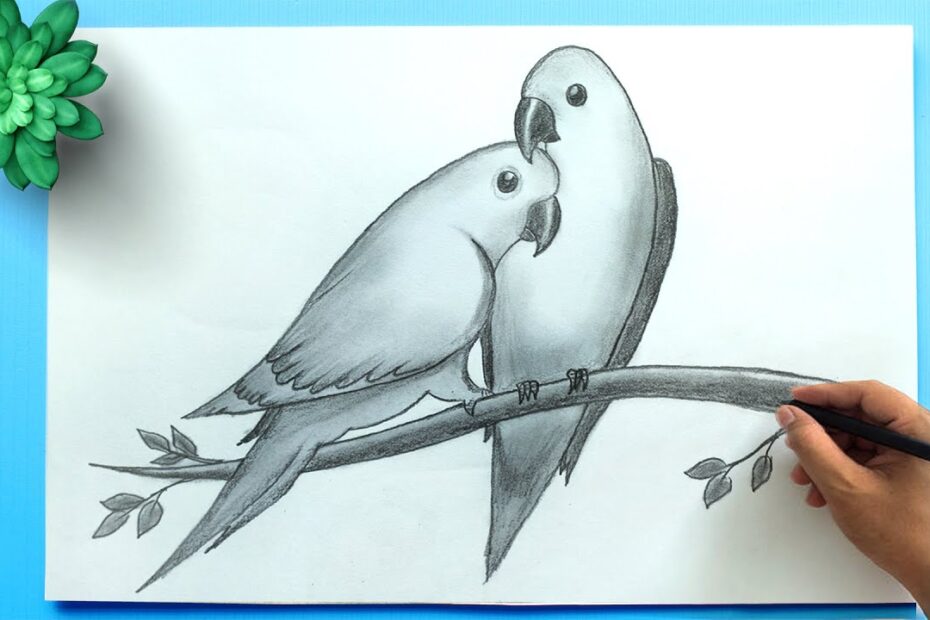 bird drawing simple