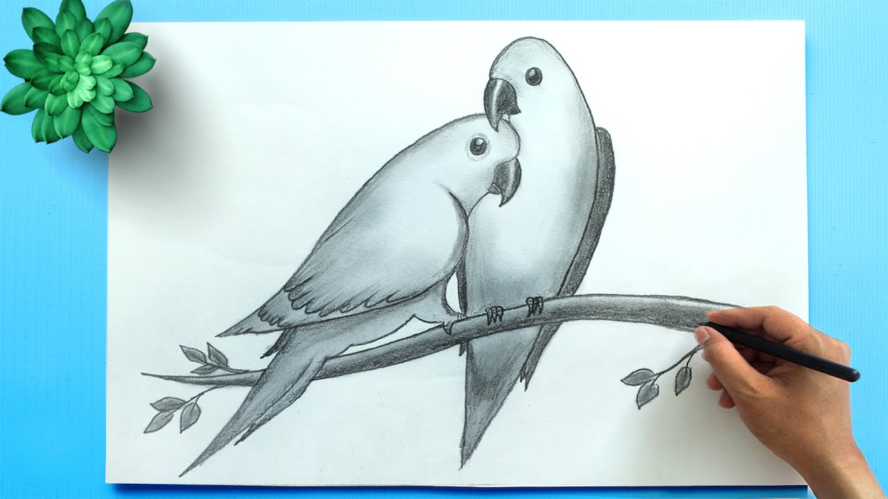 bird drawing simple