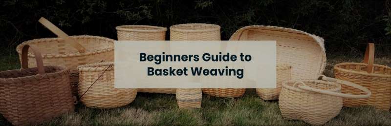  Willow weaving for beginners courses